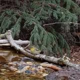 photo 2021-11-19 15-00-09 csiz him