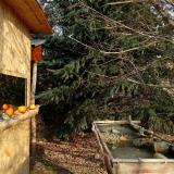 photo 2021-12-22 10-21-32