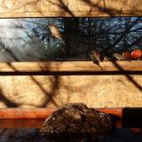 photo 2022-01-28 09-02-17