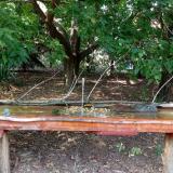 photo 2021-09-07 15-08-24