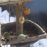 photo 2019-01-29 10-54-50