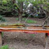 photo 2021-04-19 17-20-25