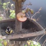 photo 2019-12-05 13-30-03