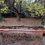 photo 2021-10-19 17-11-29