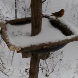 photo 2019-01-05 11-56-54