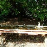 photo 2021-09-28 13-58-31