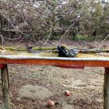 photo 2021-03-15 08-58-40