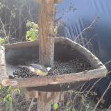 photo 2019-12-20 11-07-42