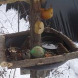 photo 2019-01-27 12-15-54