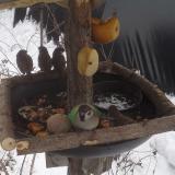 photo 2019-01-27 11-55-42