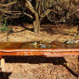 photo 2021-10-27 11-05-43