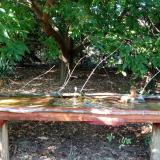 photo 2021-09-11 15-58-27