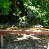 photo 2021-05-21 09-49-22