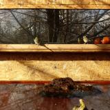 photo 2022-01-22 10-53-51