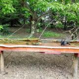 photo 2021-05-01 10-02-37