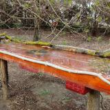 photo 2021-04-01 16-46-59