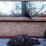 photo 2022-01-21 07-10-42