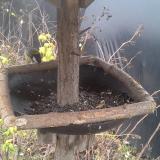 photo 2019-12-22 13-31-14