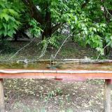 photo 2021-05-19 10-15-21