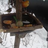 photo 2019-01-24 07-47-37