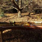 photo 2021-10-25 14-36-10