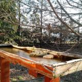 photo 2022-03-03 08-16-16