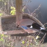 photo 2019-12-19 08-16-47