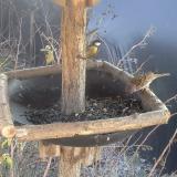 photo 2019-12-31 13-03-12