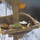 photo 2019-01-27 09-14-40