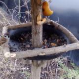 photo 2019-02-04 07-52-33