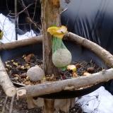 photo 2019-01-17 09-03-20