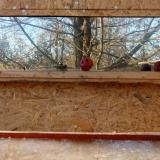 photo 2022-01-14 13-56-04