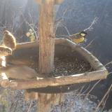 photo 2019-12-30 10-41-08