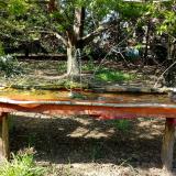 photo 2021-04-24 15-40-35