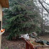 photo 2021-12-16 10-16-04