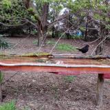 photo 2021-04-18 06-13-27