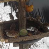 photo 2019-01-27 11-44-59