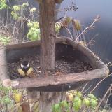 photo 2019-12-07 13-27-27