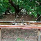 photo 2021-07-13 16-44-36