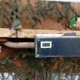 photo 2021-02-12 15-51-28