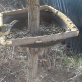 photo 2019-02-20 08-11-44