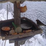 photo 2019-01-25 07-31-51