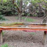 photo 2021-04-13 14-39-49