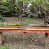 photo 2021-04-18 12-08-43