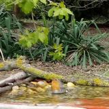 photo 2021-04-18 10-25-48-vorosbegy