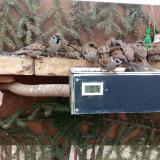 photo 2021-02-17 09-14-31