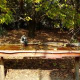 photo 2021-10-12 12-27-15