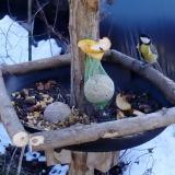 photo 2019-01-14 12-46-17