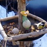 photo 2019-01-15 08-35-19