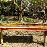 photo 2021-04-12 09-49-54